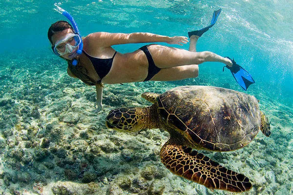 Boat snorkeling tour exploring vibrant underwater life