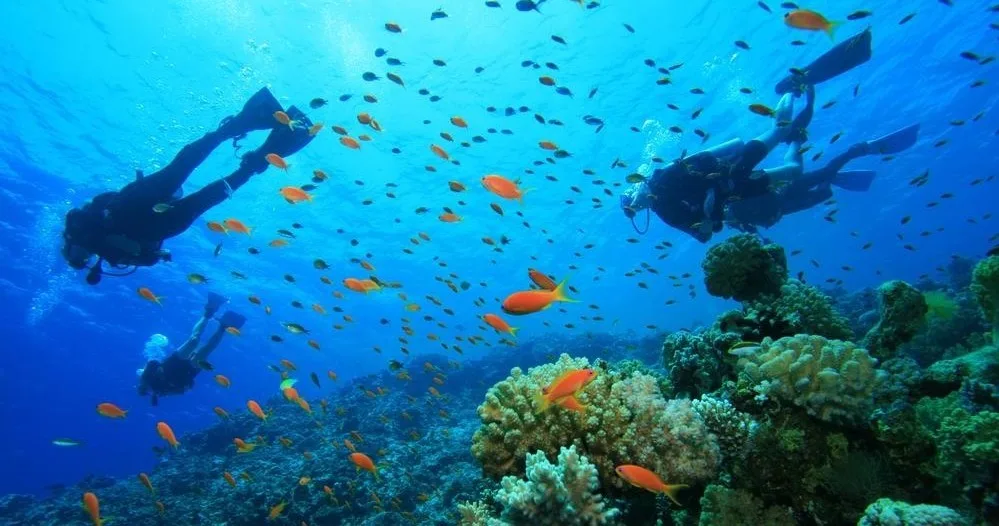 Advanced scuba divers training during two-day open water course
