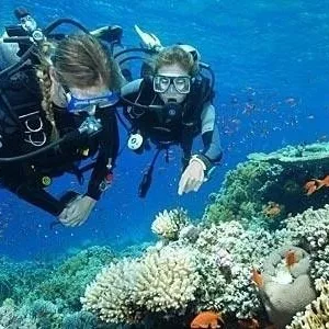 Open water certification with checkout dives offered