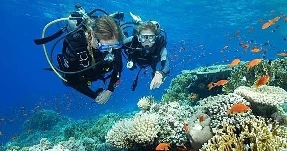 Open water certification with checkout dives offered
