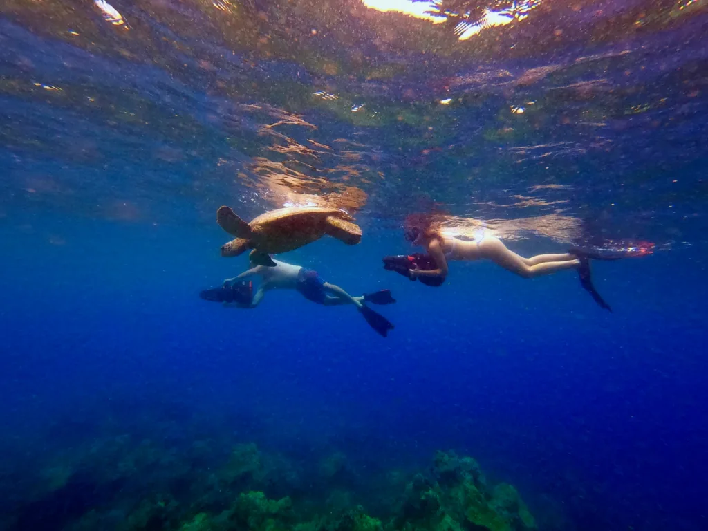 Explore Turtle Town snorkeling with sea scooter and GoPro