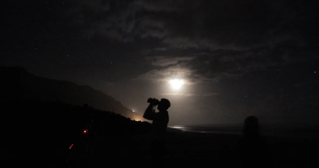 Stargazers observing night sky during sunset tour
