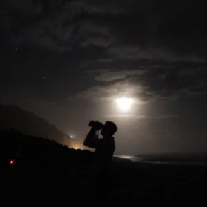 Stargazers observing night sky during sunset tour