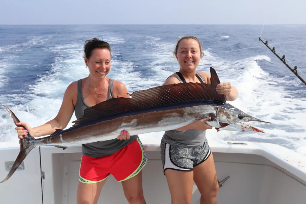 Six hour island charter cruising along tropical coastline