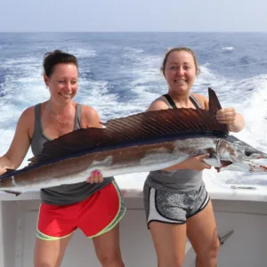 Six hour island charter cruising along tropical coastline