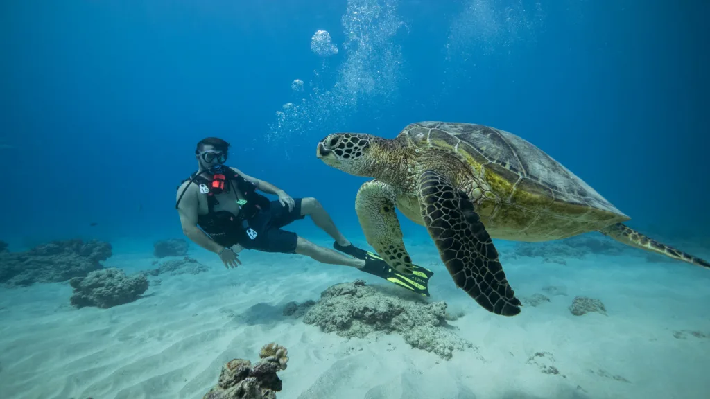 Beginner diver exploring shallow coral reef in Hawaii