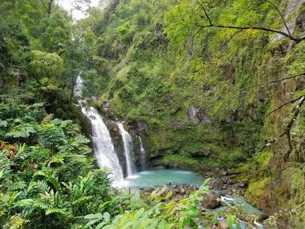 Tourists enjoying scenic views on Road to Hana
