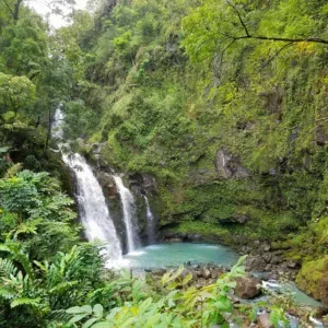 Tourists enjoying scenic views on Road to Hana