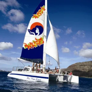 Sail along West Oahu watching dolphins and snorkeling with turtles