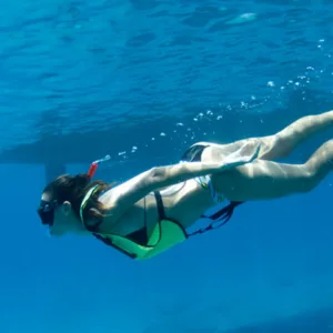 Snorkelers swimming near sea turtles in ocean