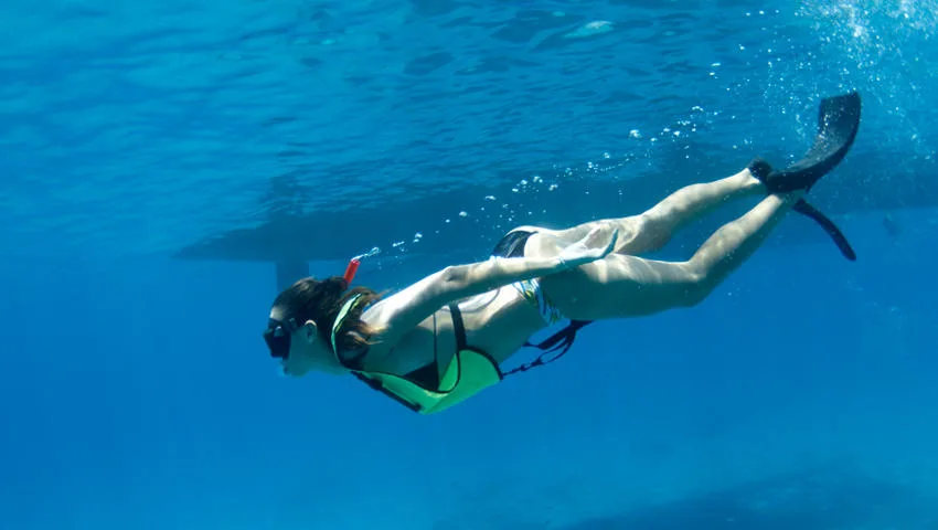Snorkelers swimming near sea turtles in ocean