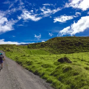 Traditional and e-bike tour along Mana Road