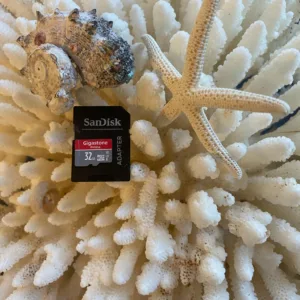 Memory cards perfect for capturing island tour moments