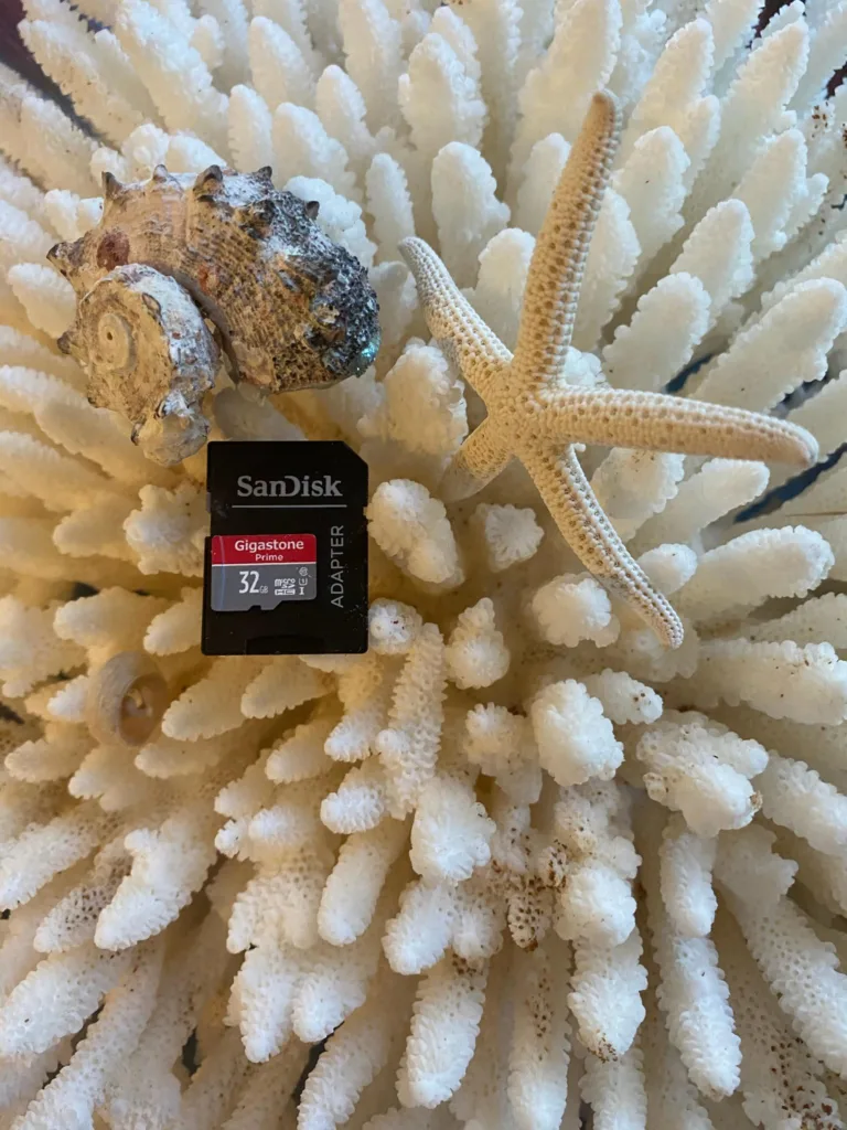 Memory cards perfect for capturing island tour moments