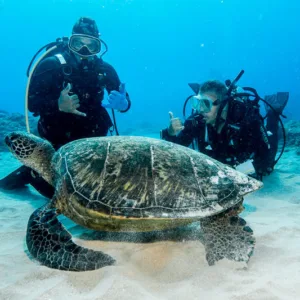 Diver practicing skills during open water certification