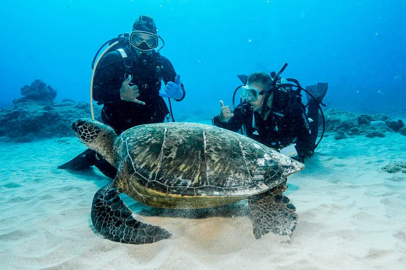 Diver practicing skills during open water certification
