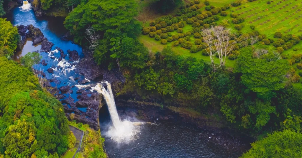 Visitors exploring Rainbow Falls Farm with lush greenery