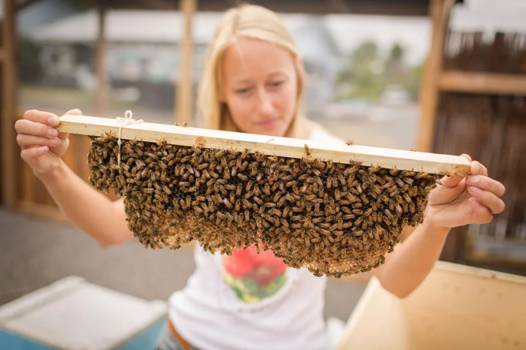Exploring Kona’s history and local farms