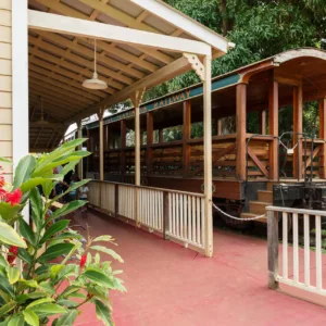 Scenic train ride through lush Hawaiian landscapes