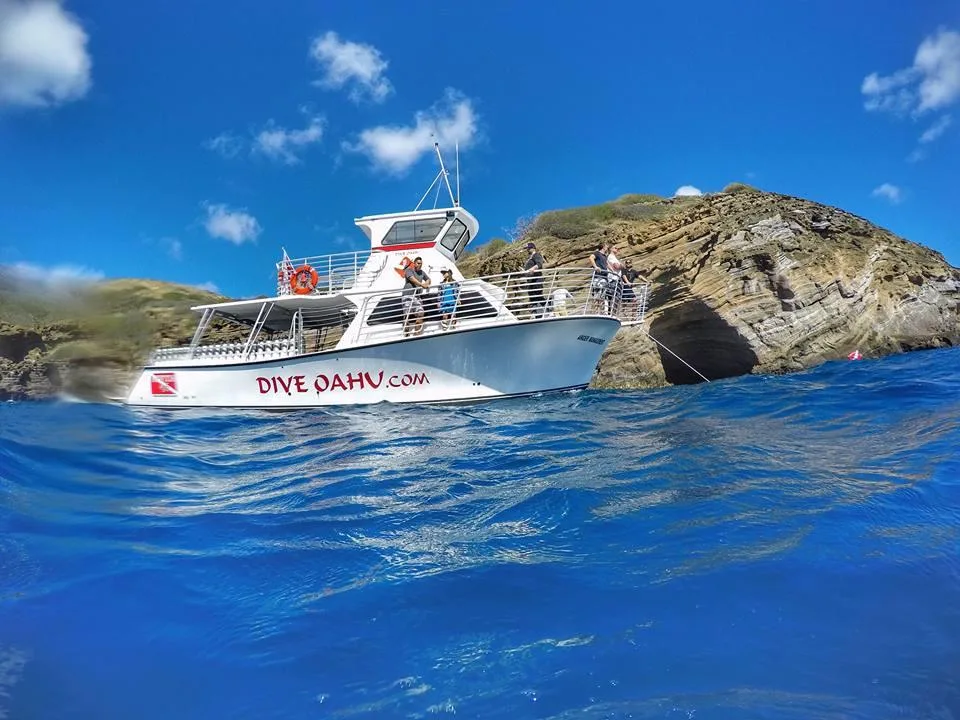 Private scuba diving charter exploring colorful underwater reefs