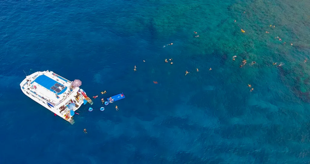 Snorkelers exploring vibrant coral reefs during afternoon dive