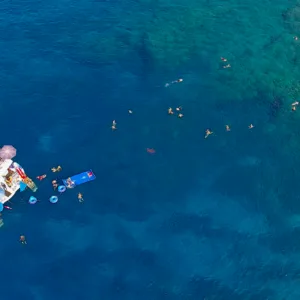 Snorkelers exploring vibrant coral reefs during afternoon dive