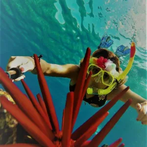 Snorkelers exploring clear waters near Molokini Crater