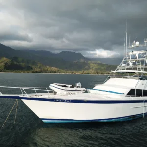 Full day private sport fishing adventure on the island