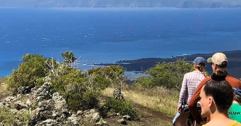 All inclusive lunch tour exploring scenic Haleakala landscapes