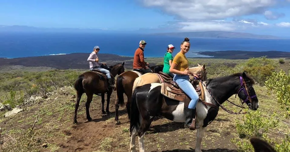 Guests enjoying an open range semi-private tour in Maui