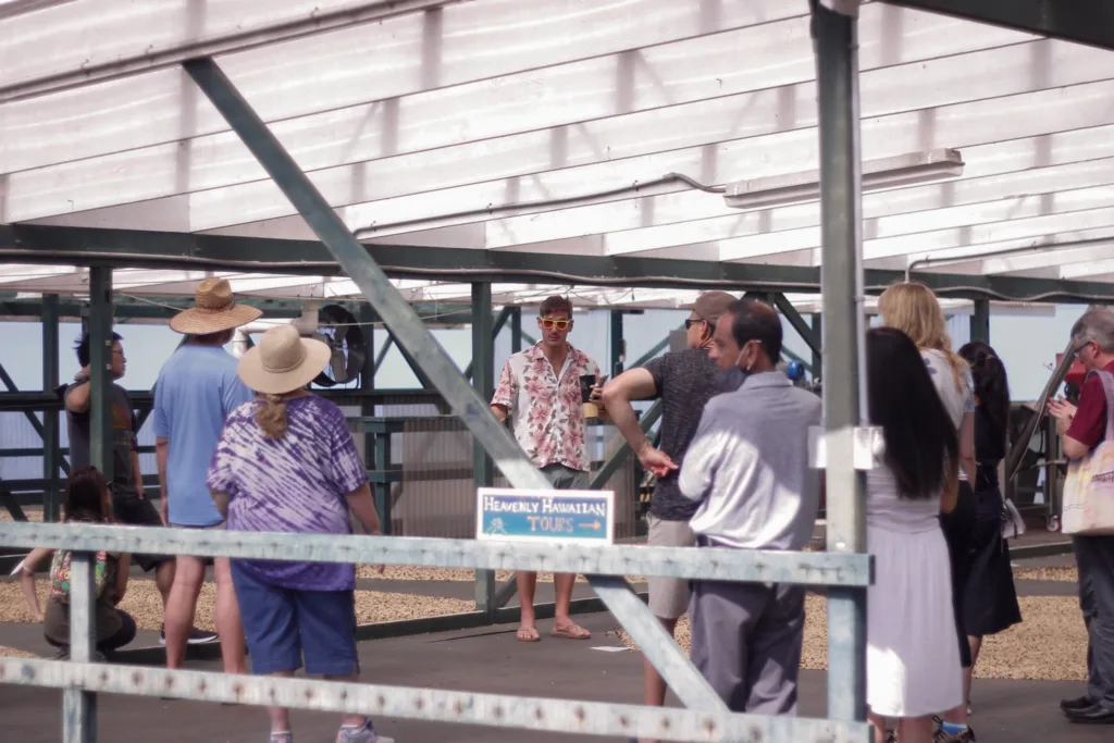 Visitors touring a Kona coffee farm among lush greenery