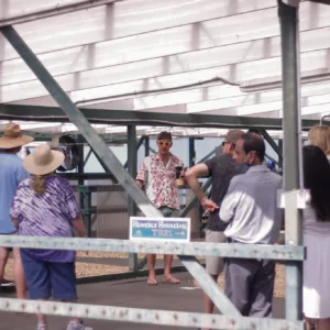 Visitors touring a Kona coffee farm among lush greenery