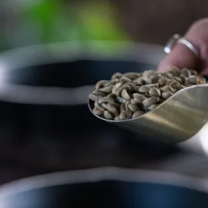 Person roasting coffee beans in a traditional Hawaiian style