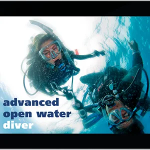 Experienced diver exploring deep ocean waters