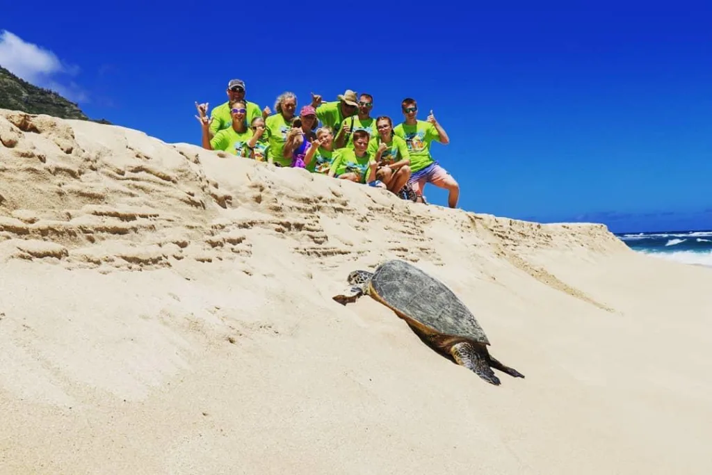 Private island tour boat cruising near a sandy shore