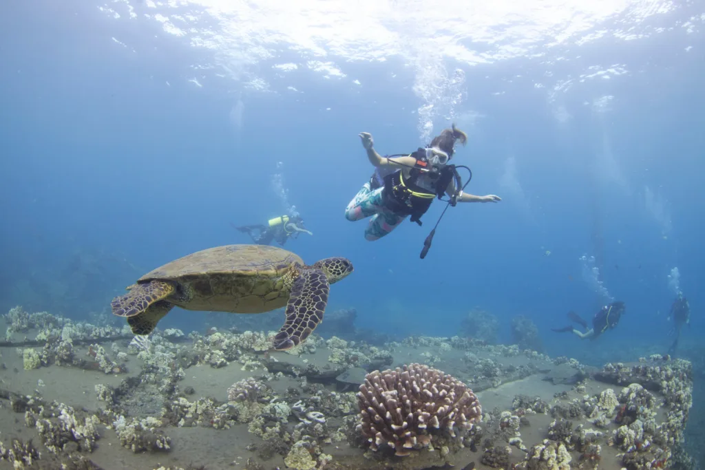 Scuba diver exploring vibrant coral reef near shore