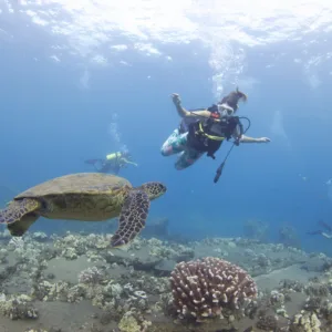 Scuba diver exploring vibrant coral reef near shore
