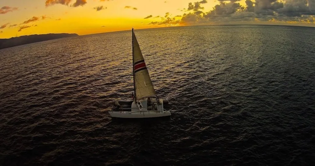 Evening whale watching at sunset glow