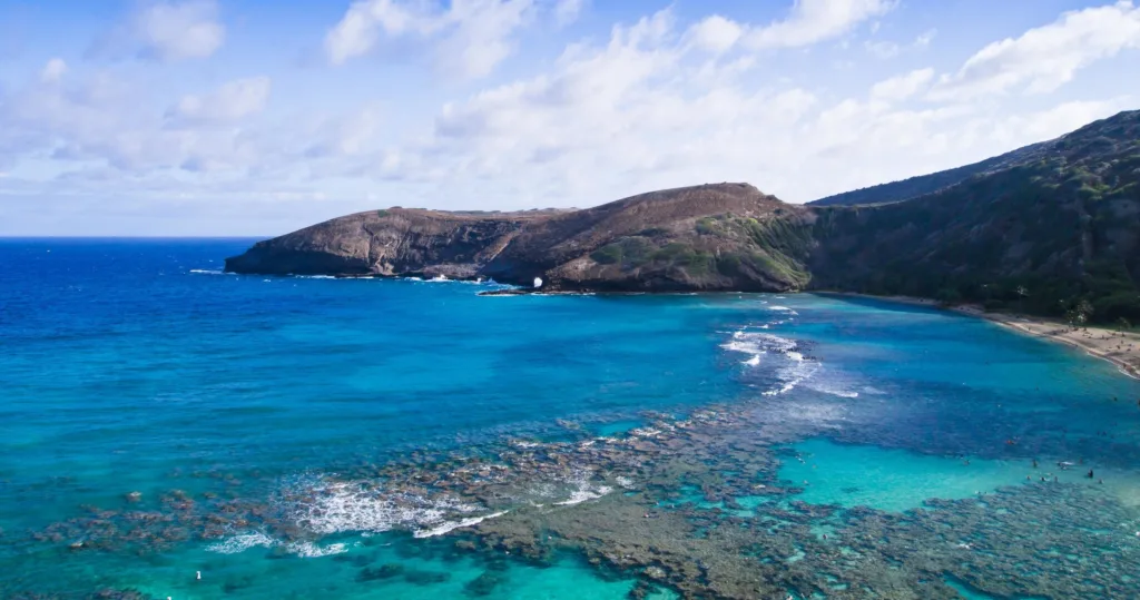 Scenic stops at Waimea Valley and Dole Plantation on island tour