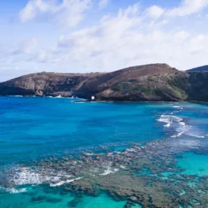 Scenic stops at Waimea Valley and Dole Plantation on island tour