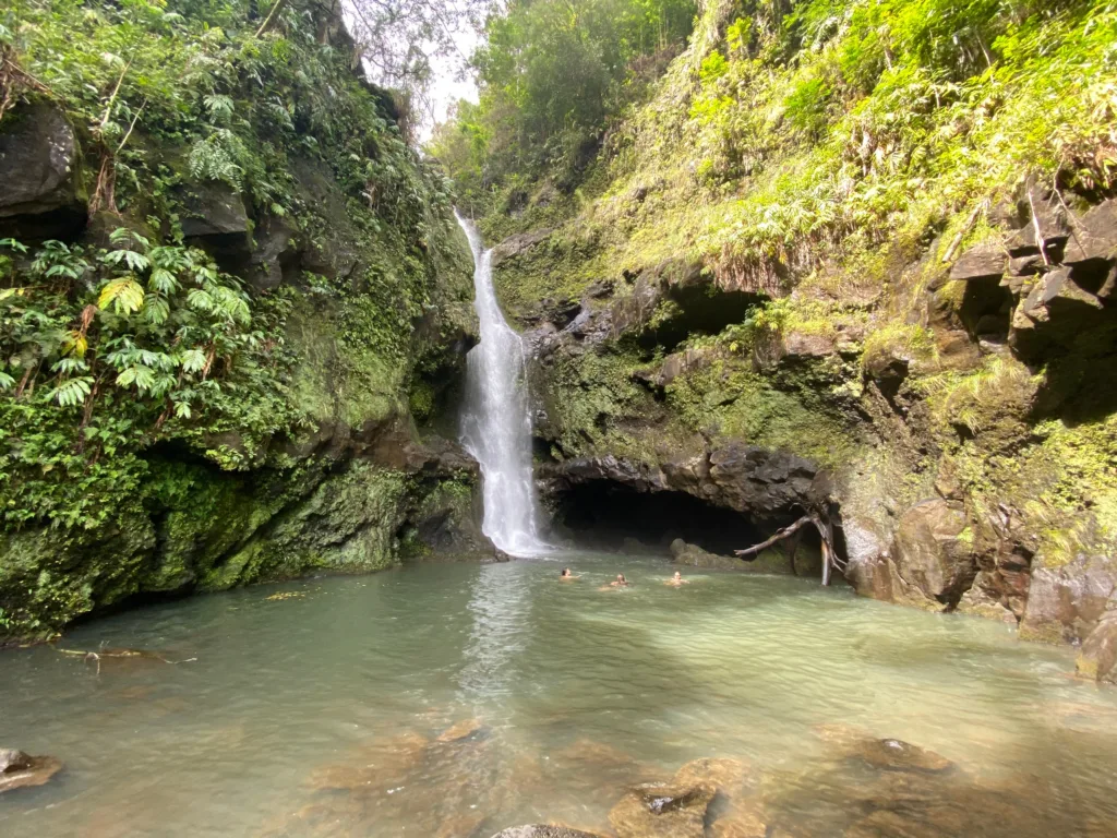 Hikers walking along a lush trail on the Road to Hana