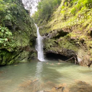 Hikers walking along a lush trail on the Road to Hana