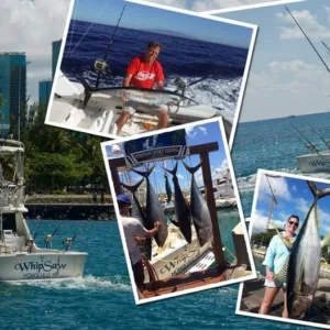 Private half-day charter boat cruising near Oahu coastline