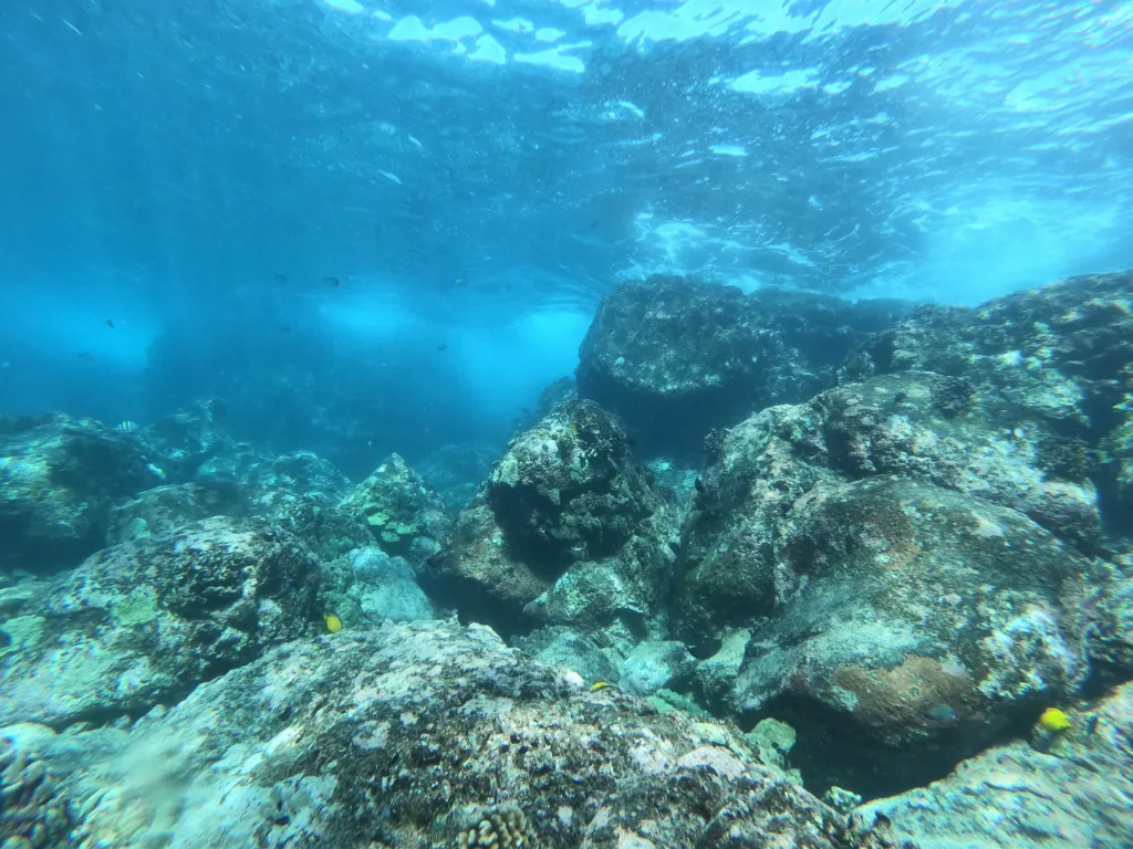 Open water diver course day two with underwater training