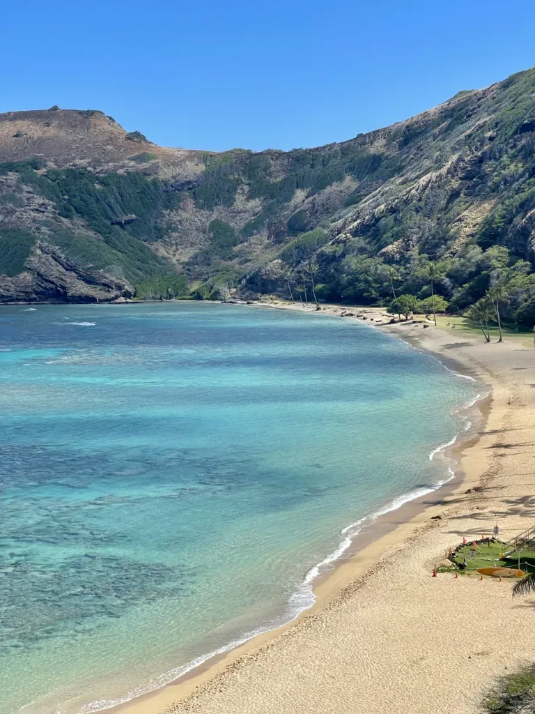 Snorkelers exploring coral reefs in Hanauma Bay waters