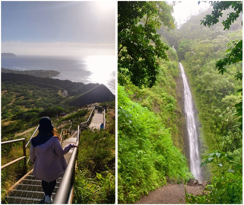 Small group hiking through lush Hawaiian forest trails