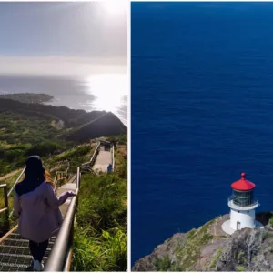 Guided hikes showcasing Oahu's best natural trails
