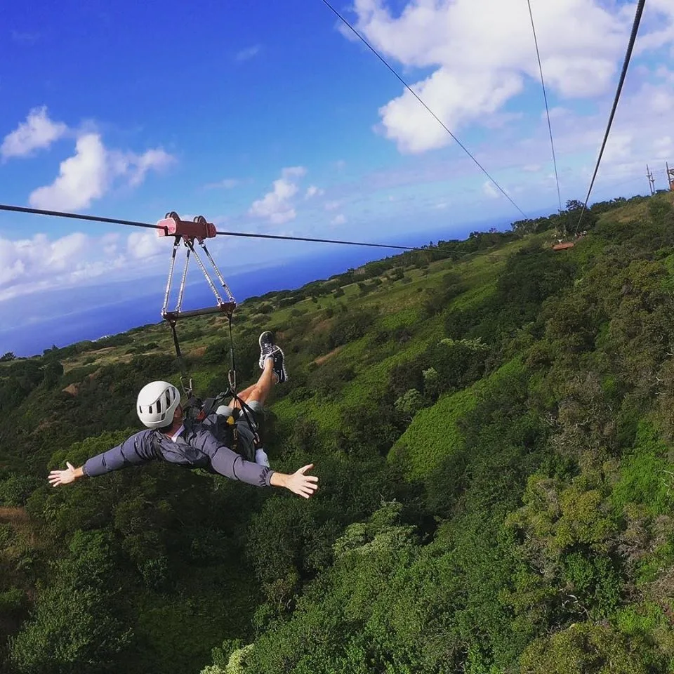 Group enjoying thrilling zipline ride through Maui forest canopy