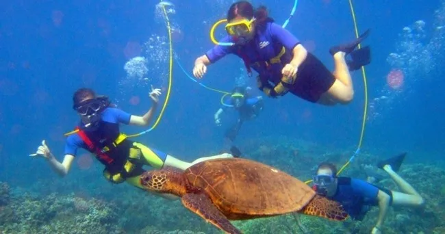 Morning scuba diving adventure along Maui’s west side coastline