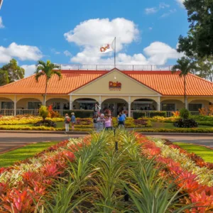 Grand circle island tour with snorkeling stops in ocean